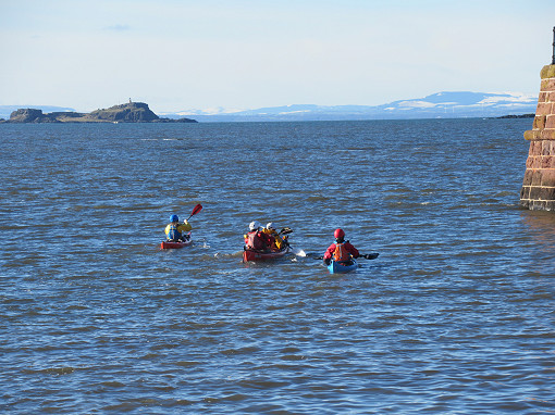 Rat race on the Lamb