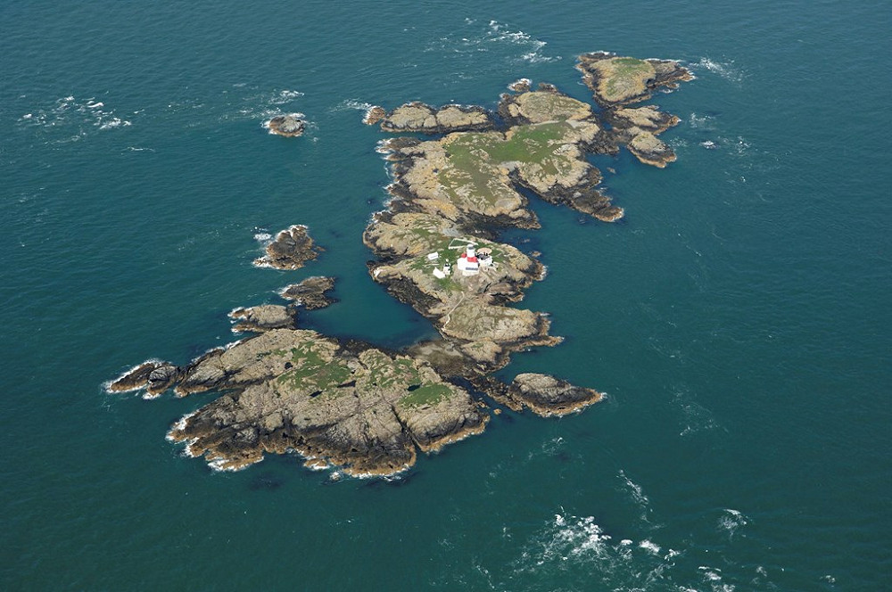 TheSkerries RSPBimages