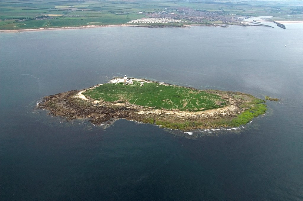 Coquet Island RSPB reserve David Wootton rspb images
