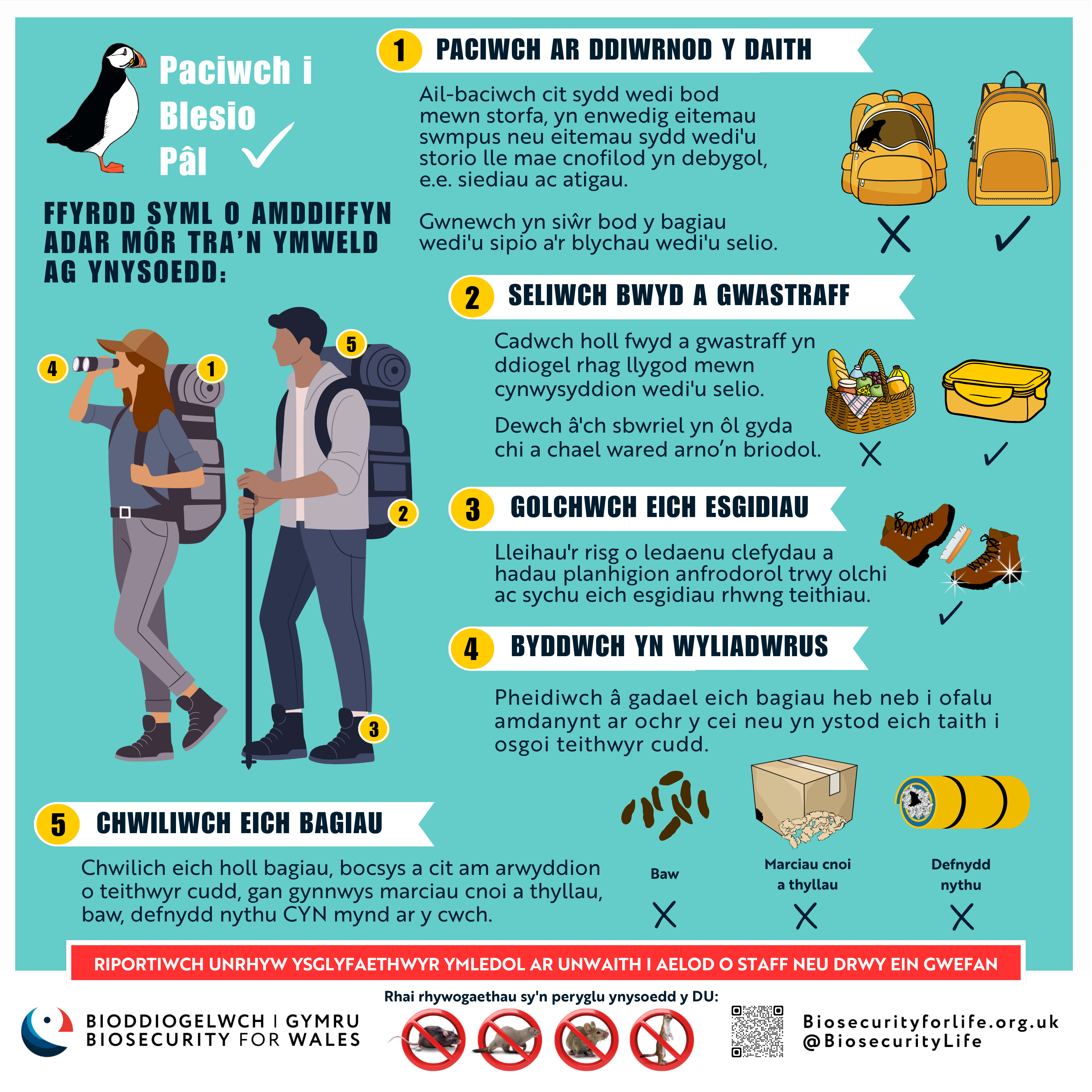 Paciwch i Blesio Pal (1) Paciwch i Blesio Pal (1)